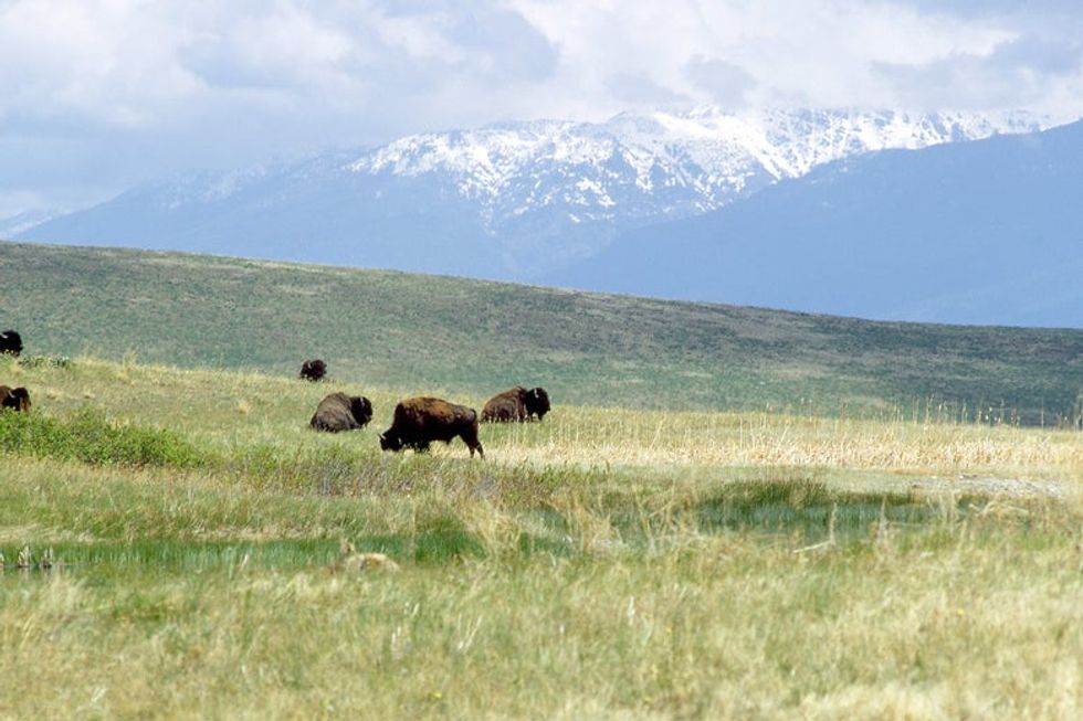 conservation justice indigenous