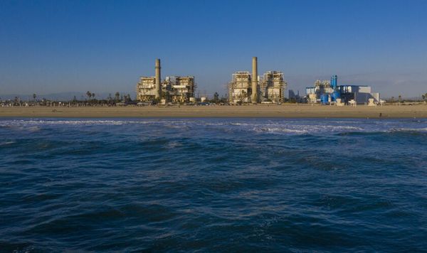 environmental impact of Poseidon seawater desalination plant
