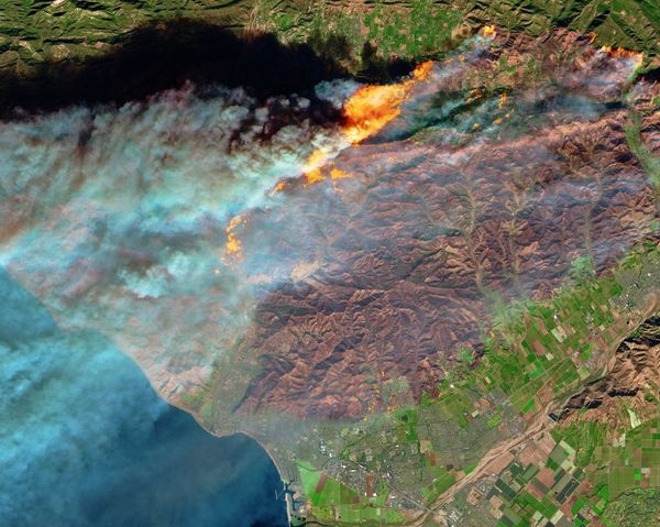 The fires next time: should California allow development in fire zones?