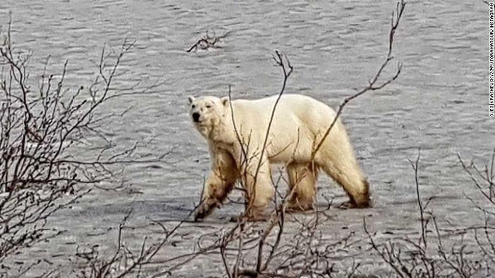 Siberia's prolonged unusually warm weather is an 'alarming sign': scientists