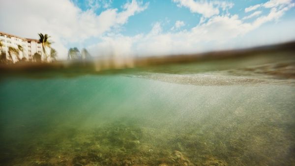 water clarity fertilizer toxics 