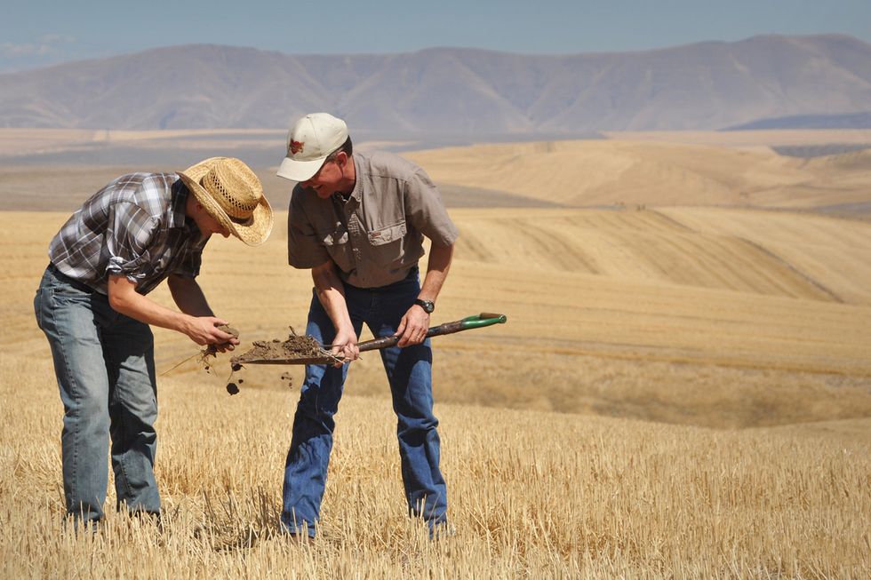 Trump budget would undo conservation gains on farms and ranches