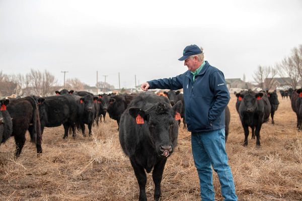 Rob Larew: A fairer, more resilient food system is possible