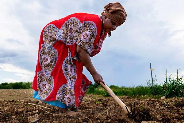 Could putting farmland in the commons support land justice and sustainability?