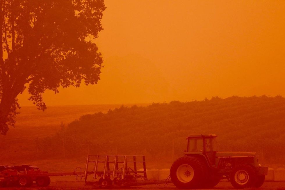 What impacts do the West Coast wildfires have on crops?