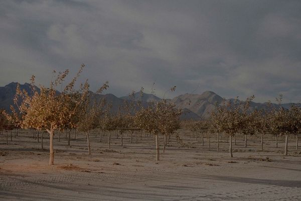 A pistachio tycoon picks a fight with the U.S. navy over water