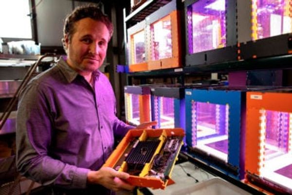 MIT Media Lab kept regulators in the dark, dumped chemicals in excess of legal limit