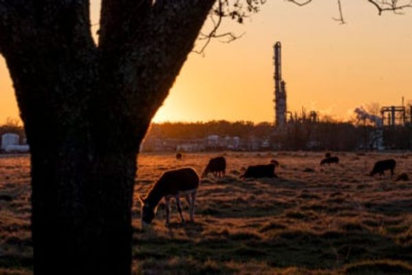How an environmental regulator became known for protecting industry