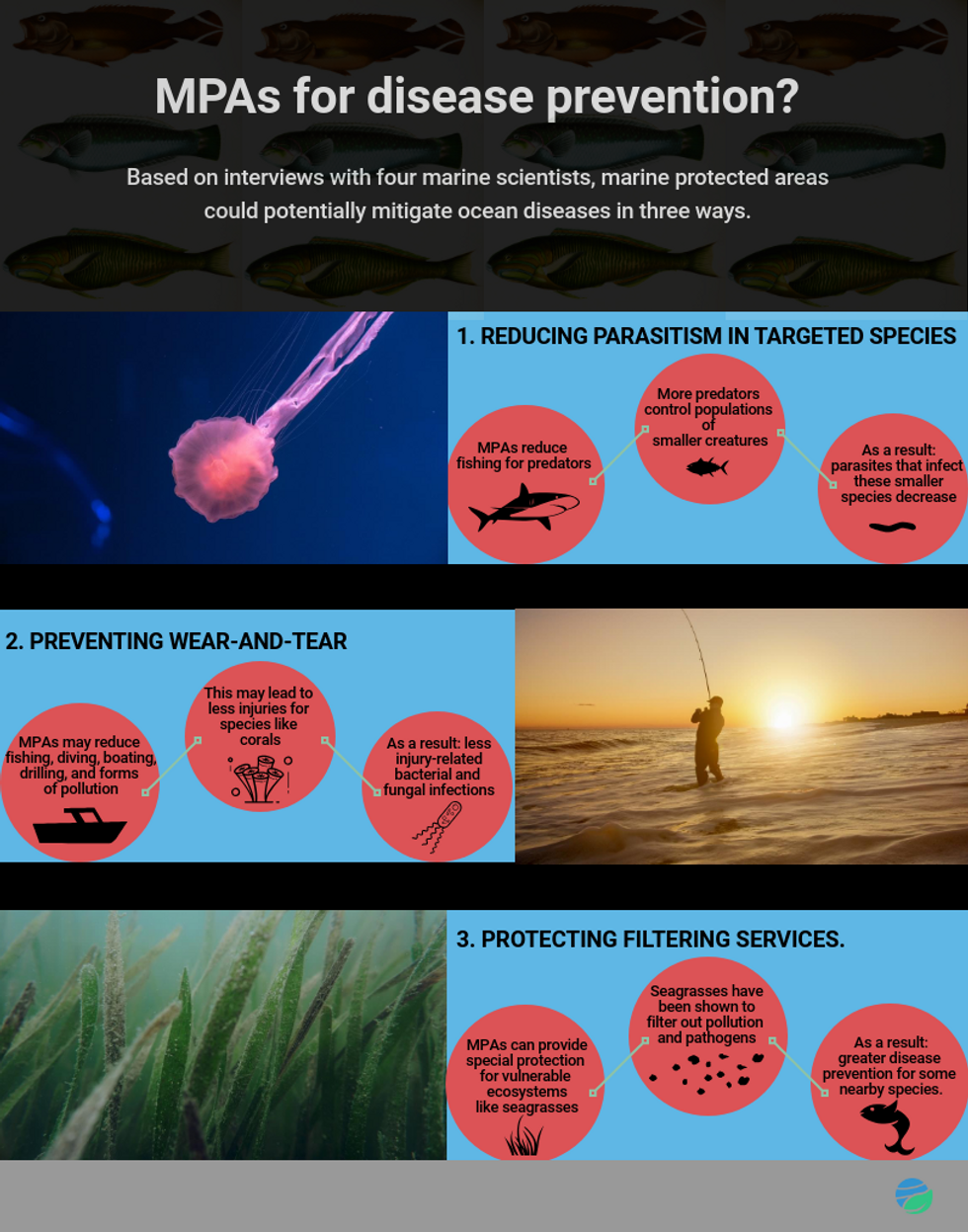 ocean disease