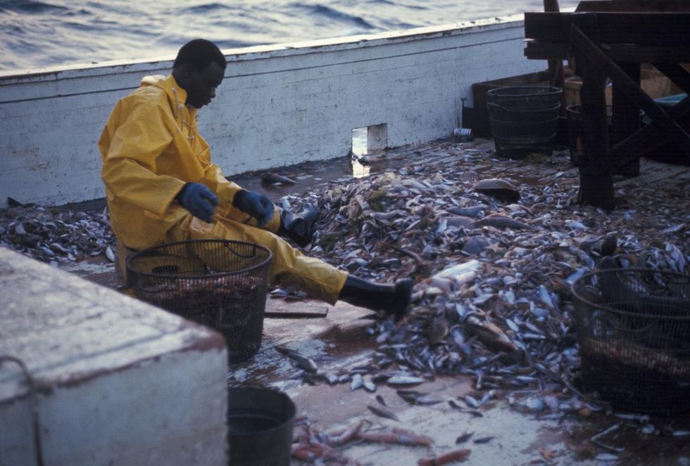 overfishing ocean