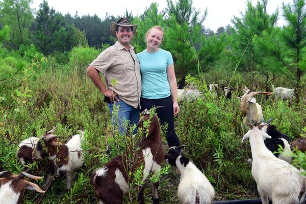 local food catches on during pandemic