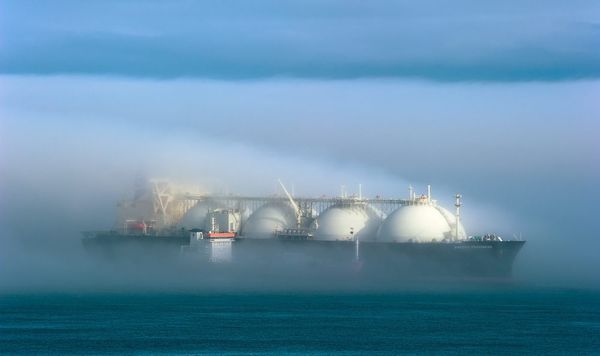 Germany to build LNG terminal 'ASAP' to reduce Russian gas dependence