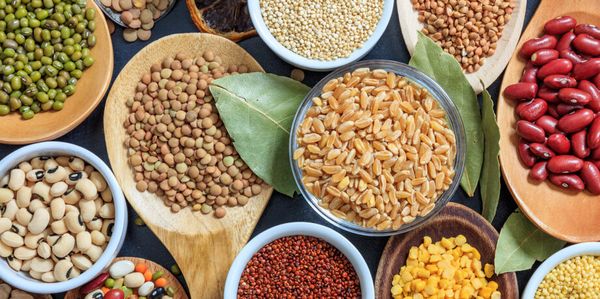 How can companies protect the biodiversity they depend on