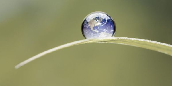 Explainer: What is a tipping point, and why should I care?