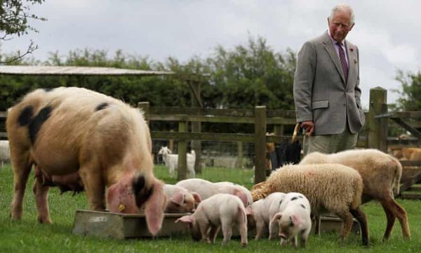 family farms prince charles sustainability 