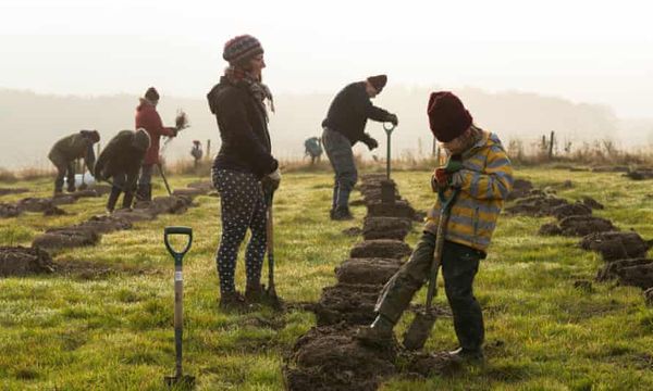 Digging in: a million trees planted as villages and schools join climate battle | Trees and forests | The Guardian