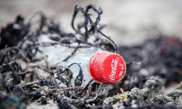 coca cola pepsi neste plastic pollution