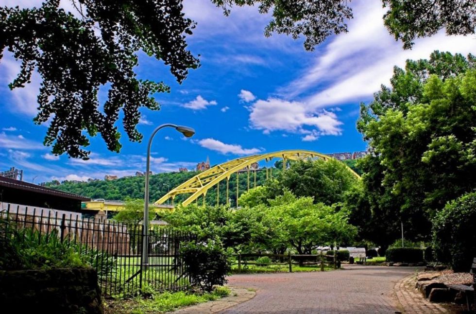 Where are the trees going in Allegheny County?