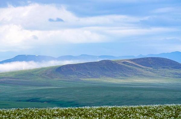 What Interior Department's victories and defeats mean for the oil industry