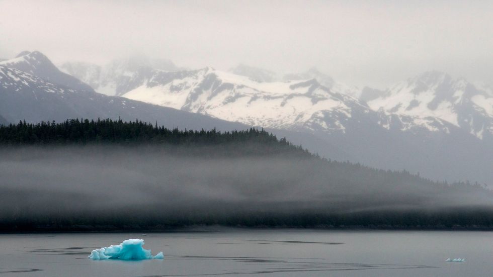 Biden to overturn Trump rule allowing roads in Tongass National Forest