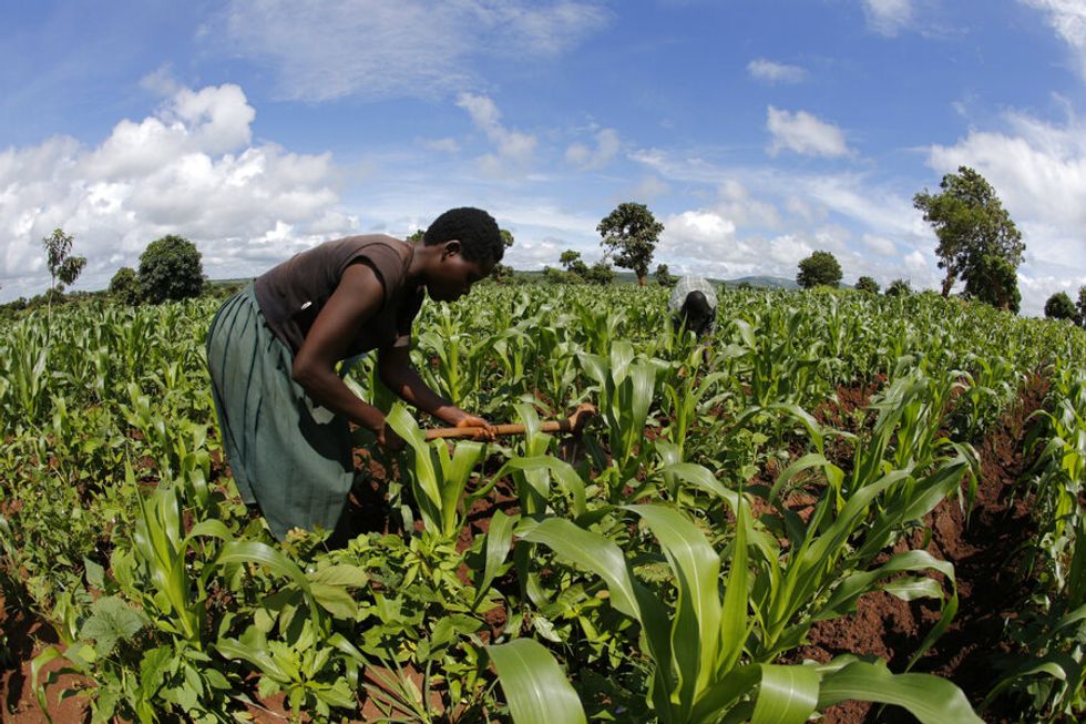 Malawi turns to solar irrigation to counter harsh droughts