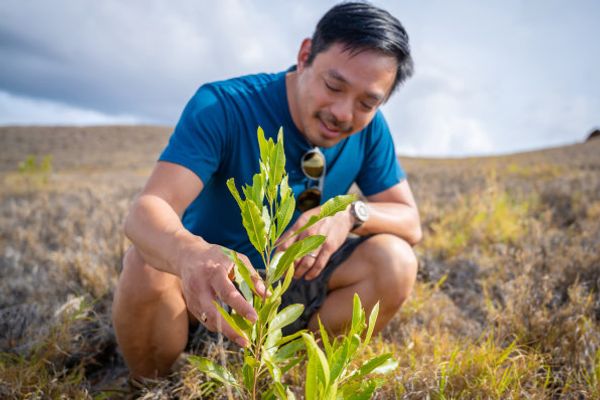 Reddit’s former CEO is now in the forest-planting business