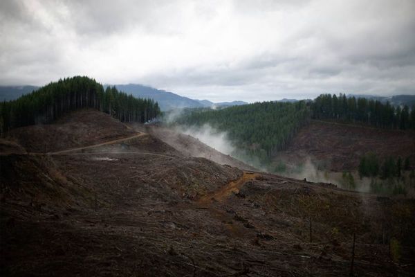 Oregon lawmakers set out to increase the timber industry's tax. Instead, they cut it again