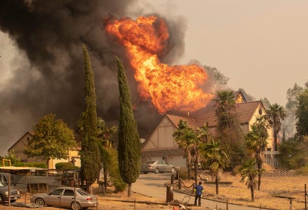 What happens when a wildfire meets a pandemic