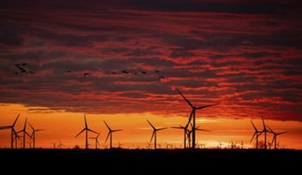 climate impacts wind farms