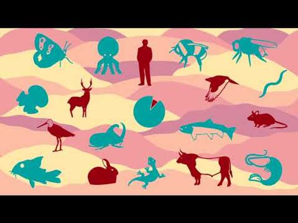 Climate change: Effect on sperm could hold key to species extinction
