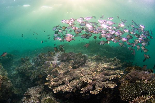community-managed marine area