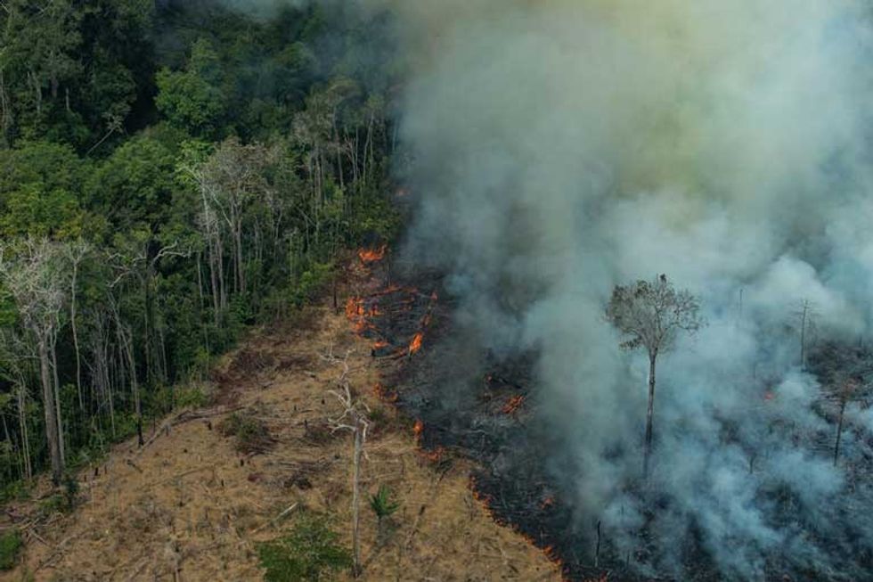 trade deal derailed by Brazil deforestation