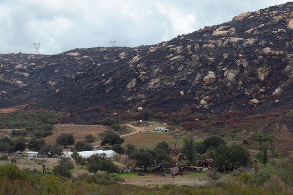 Alpine chicken rancher rejected for fire insurance. He’s not alone in California