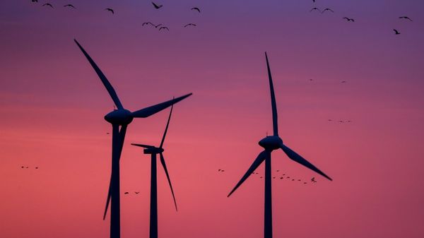 Murphy announces plan for 100% clean energy by 2050