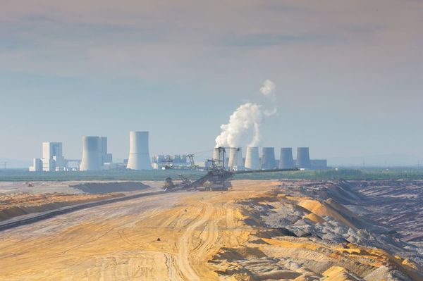 Audio: Bill McKibben and Elizabeth Kolbert on the U.N. Extinction Report