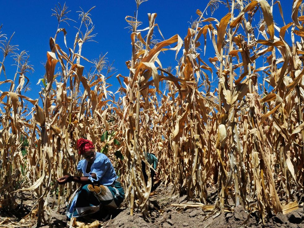 Big Ag is sabotaging progress on climate change