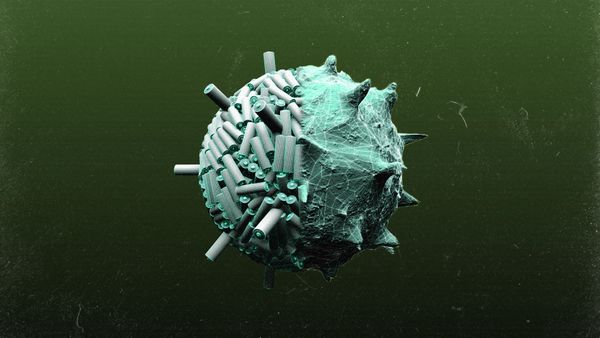 The next generation of batteries could be built by viruses