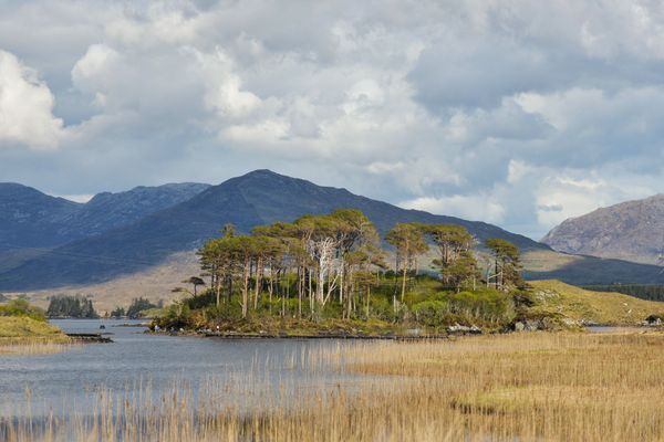 Lakes are losing oxygen