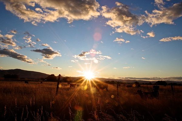 montana climate carbon neutrality