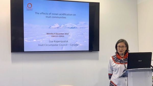 Arctic Council highlights Arctic Ocean acidification at UN climate talks
