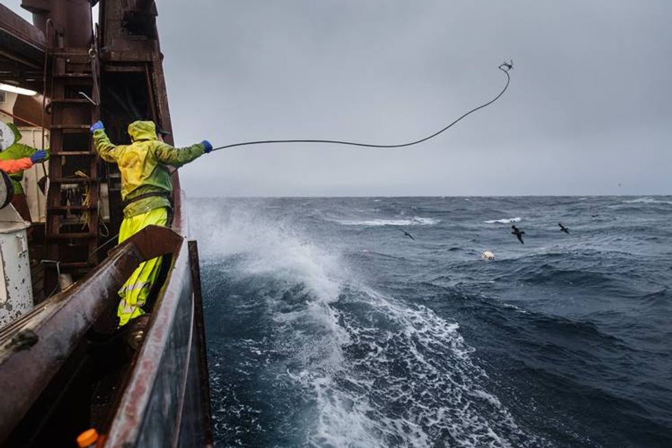 Climate change drives fish Into new waters, remaking an industry