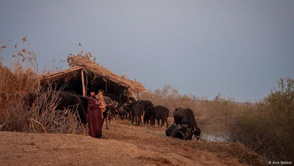 Dam building projects could fuel water stress in Middle East
