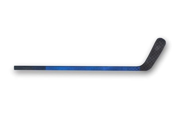 Earth Day and the hockey stick: A singular message
