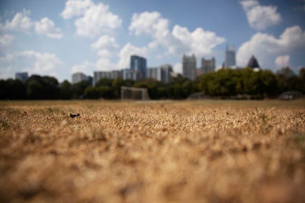 Flash drought in the South brings heat without rain
