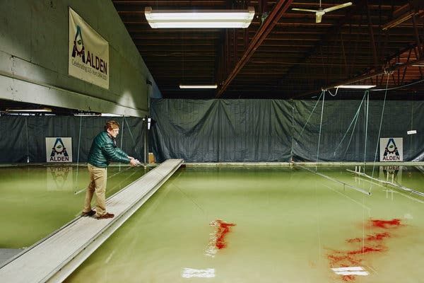To save Louisiana's vanishing coast, build a mini Mississippi near Boston