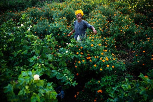 Why is fashion talking about regenerative farming?