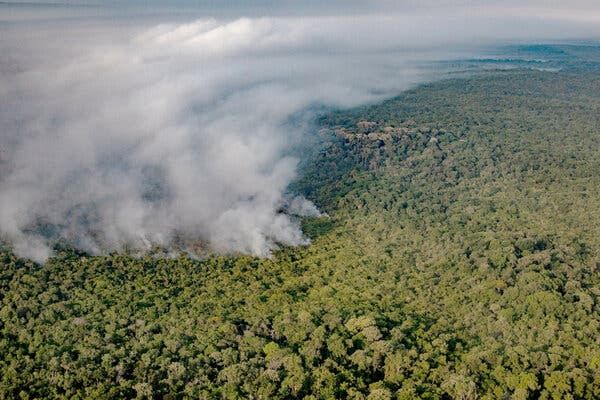 Bolsonaro's sudden pledge to protect the Amazon met with skepticism