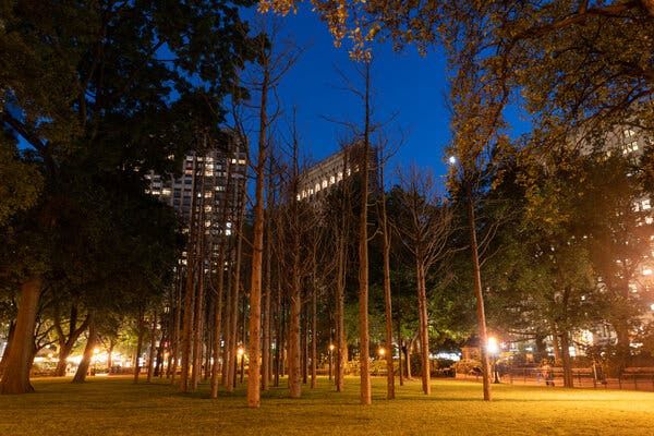 In Maya Lin’s ‘Ghost Forest,’ the trees are talking back