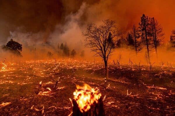 Wildfires are intensifying. Here's why, and what can be done