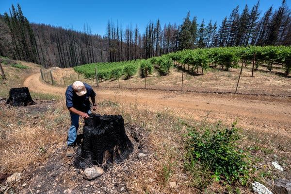 How climate change hit wine country